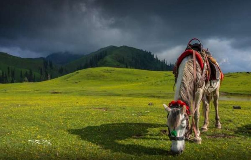 3 Days Trip to Saiful Malook & Babusar Top (From 15th June & 22nd June)