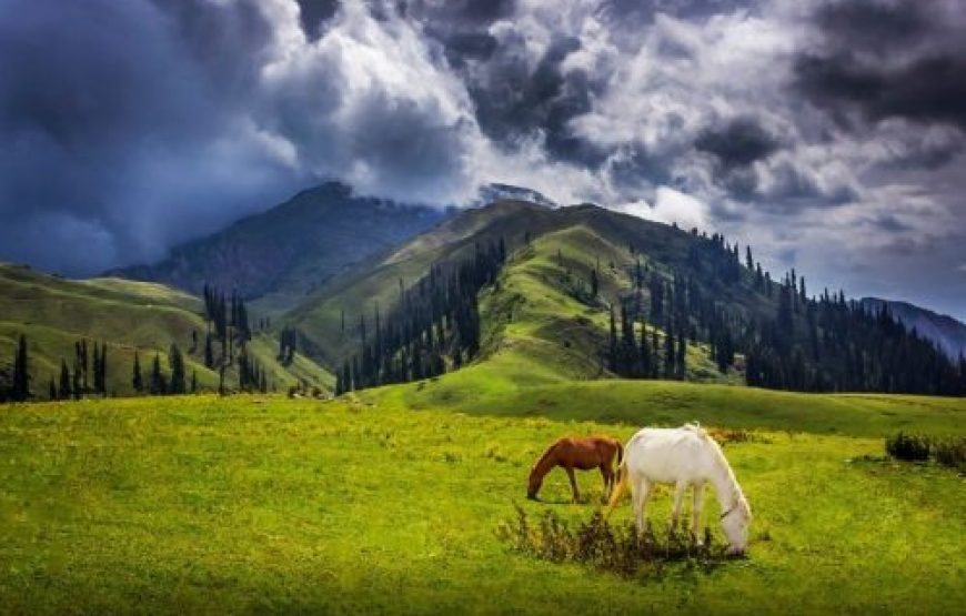 3 Days Trip to Saiful Malook & Babusar Top (From 15th June & 22nd June)