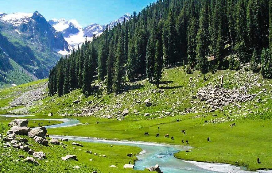 3 Days Trip to Kumrat Valley (in June, July, August, September, October, November)